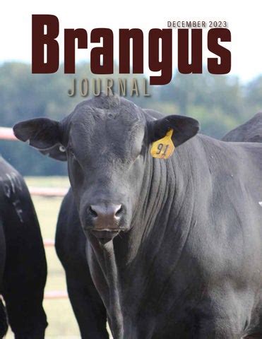 international brangus breeders association|int brangus org.